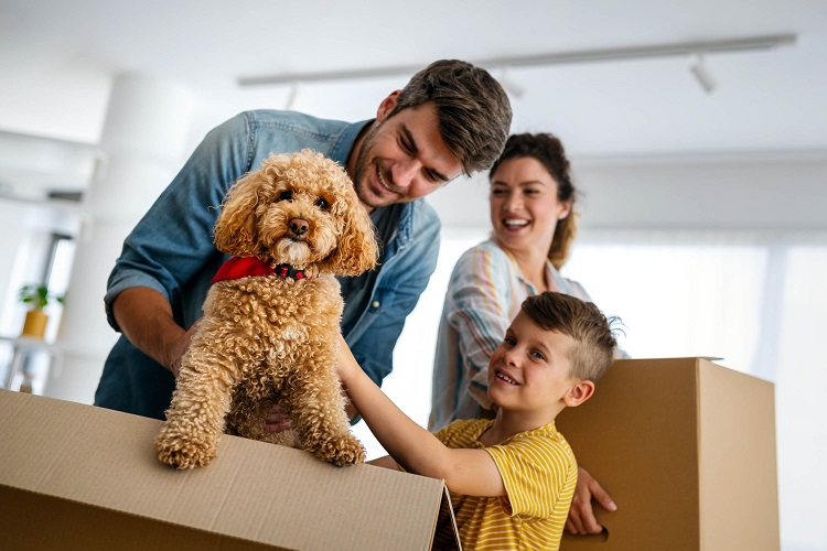 Family moving home with dog